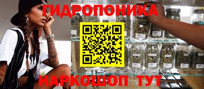 jwh Краснокаменск