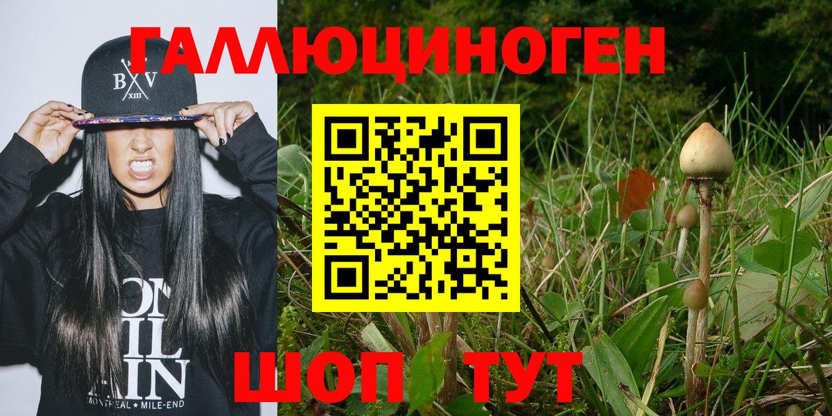 Псилоцибиновые грибы MAGIC MUSHROOMS  Вход с VPN  Гусь-Хрустальный 