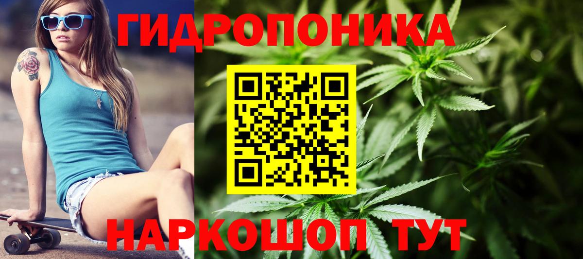 Каннабис индика  Вход с VPN  Бошки марихуана конопля  Гусь-Хрустальный  Канабис семена 