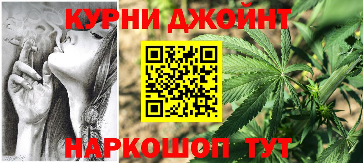 Канабис сатива Гусь-Хрустальный